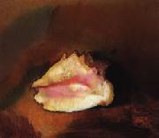 Odilon Redon The Shell Spain oil painting reproduction